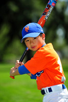 Farm_Mets011