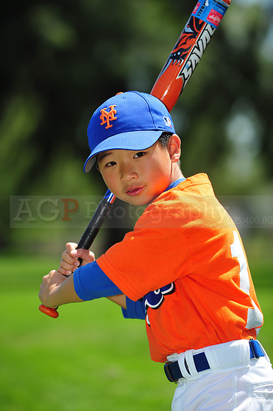 Farm_Mets011