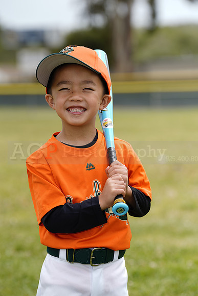 TBGrasshoppers00028