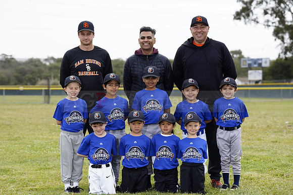 TBIronBirds00140