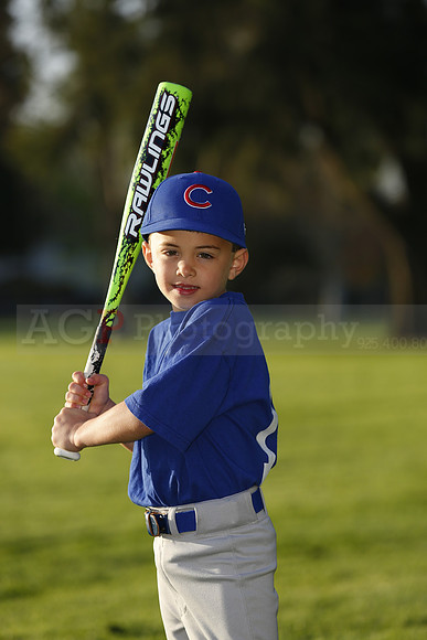 FarmCubs032
