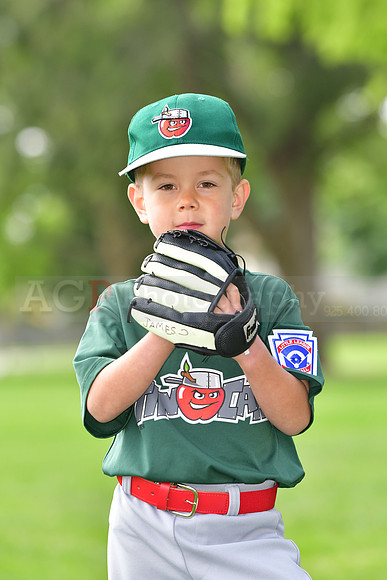 TBTincaps002