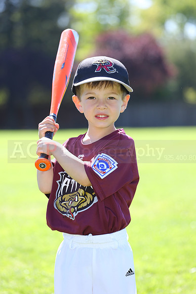 TBTimberRattlers057