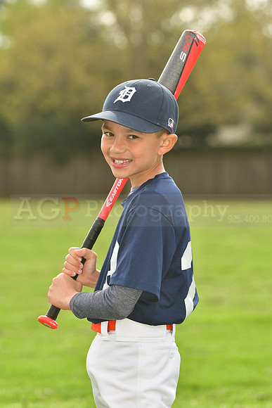 AATigers016