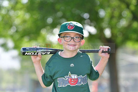 TBTincaps206