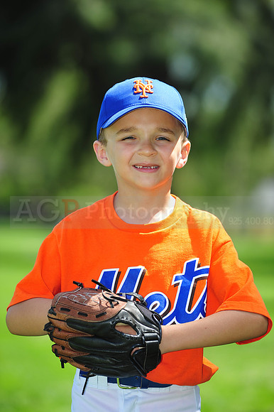 Farm_Mets078