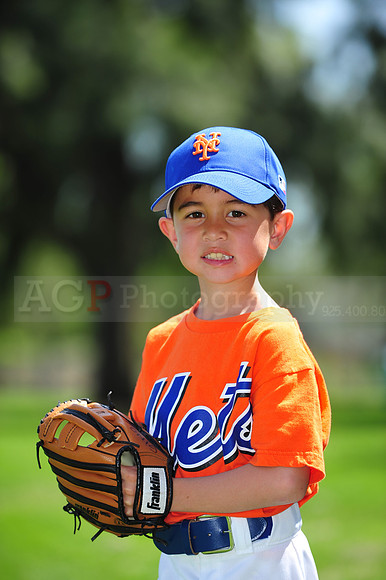 Farm_Mets028