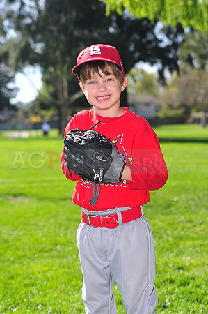 TBCardinals014