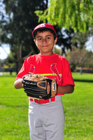 TBCardinals001
