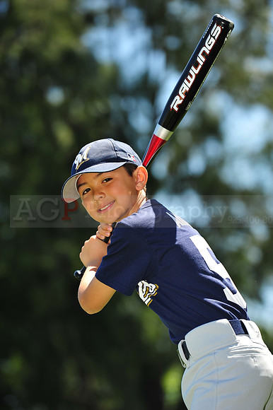 AA Brewers059