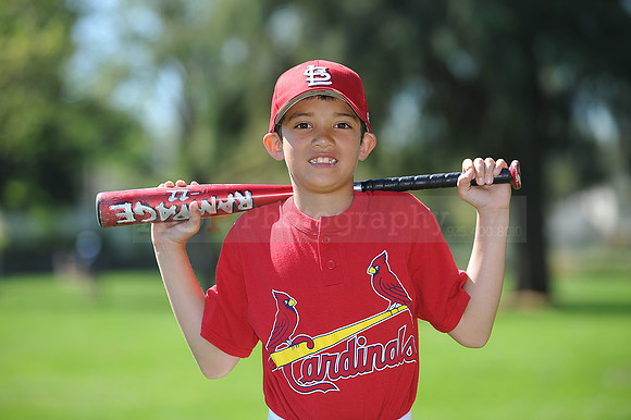 AA_Cardinals062