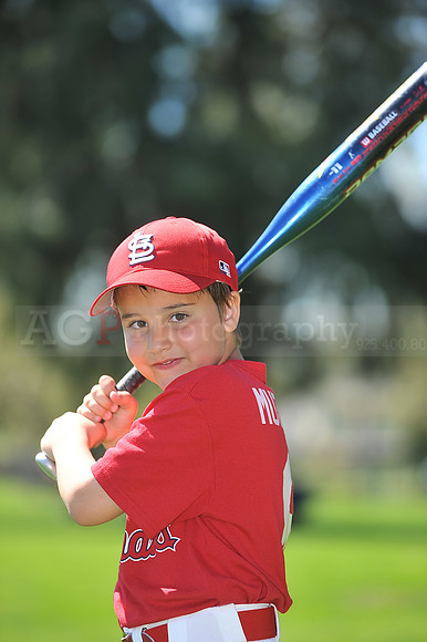 A_Cardinals110