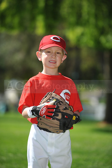 Farm_Reds039