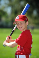 AA_Cardinals005