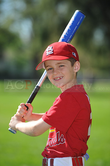 AA_Cardinals005