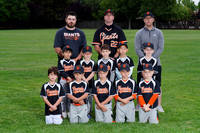 SINGLE A GIANTS