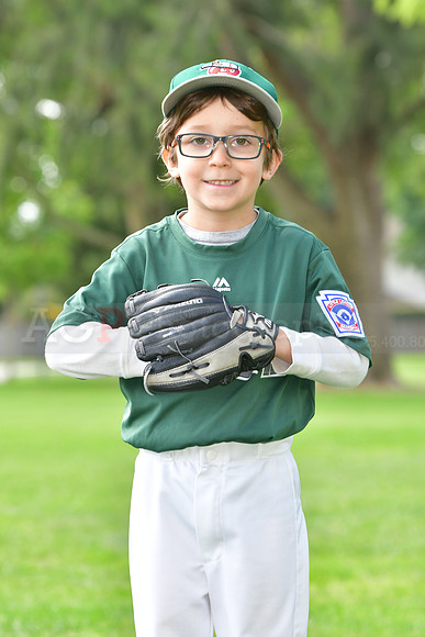 TBTincaps037