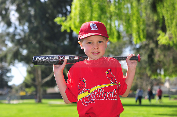TBCardinals027