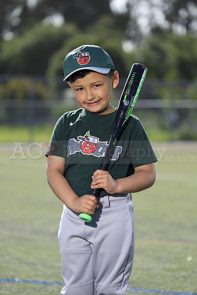 SB_TB_TinCaps026