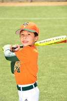 SB_TB_Grasshoppers00020