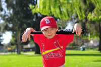 TBCardinals013