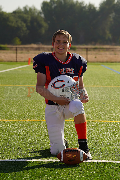 Bears00114