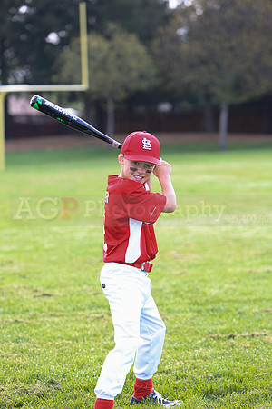 AACardinals022