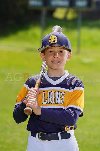 SB_PW_Lions015