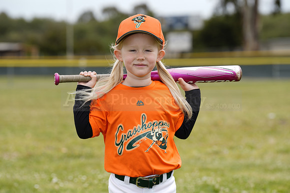 TBGrasshoppers00090