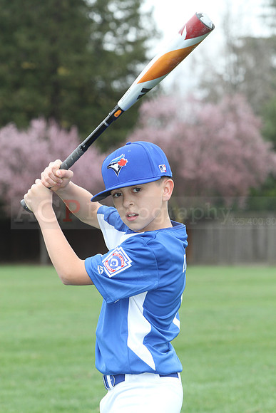 AAABlujays006