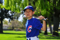 FMCubs018