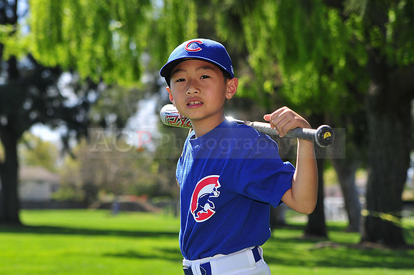 FMCubs018