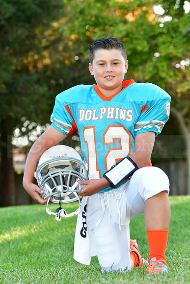 Dolphins081