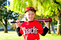 FMDBacks006