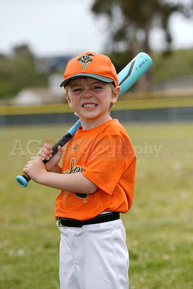 TBGrasshoppers00047