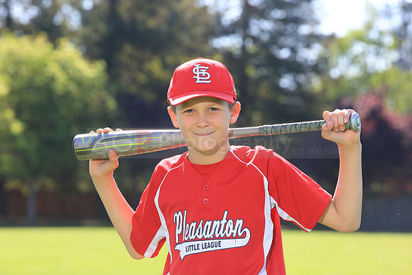 PLL_AAA_Cardinals00010