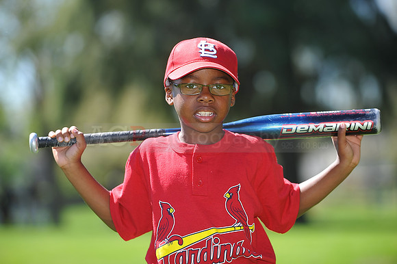 A_Cardinals029