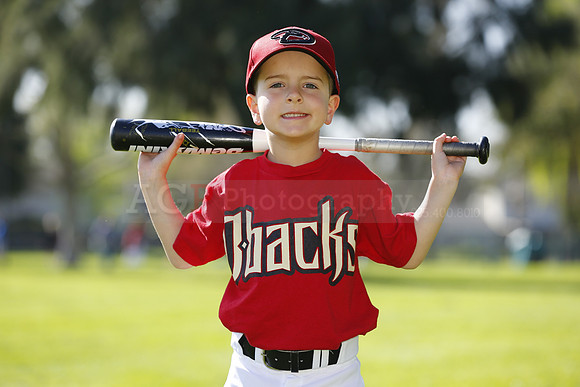 FMDBacks078