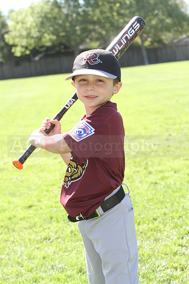 FMTimberRattlers072