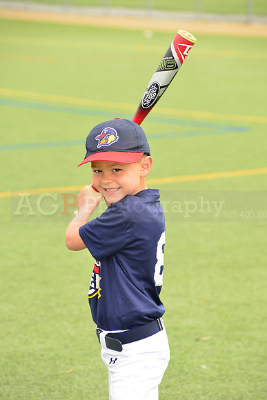 SB_TB_mudhens00028