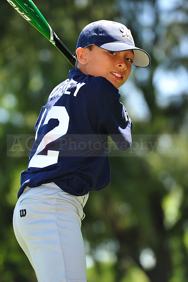 AA Brewers071