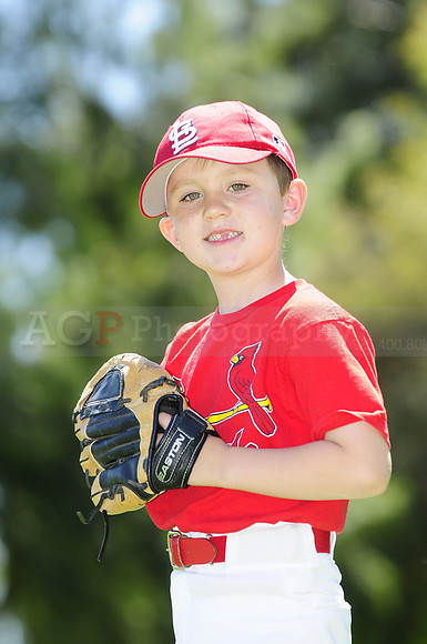 FarmCards059