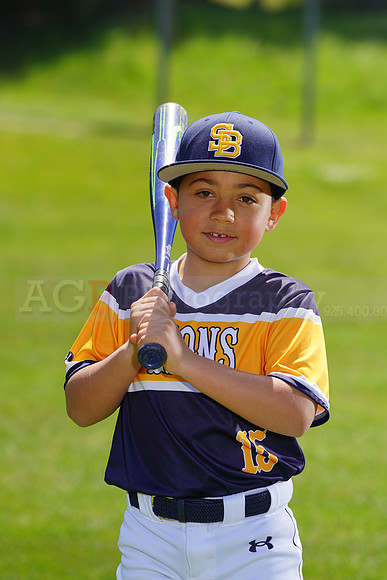 SB_PW_Lions033