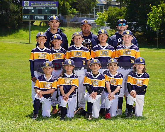 SB_PW_Lions101
