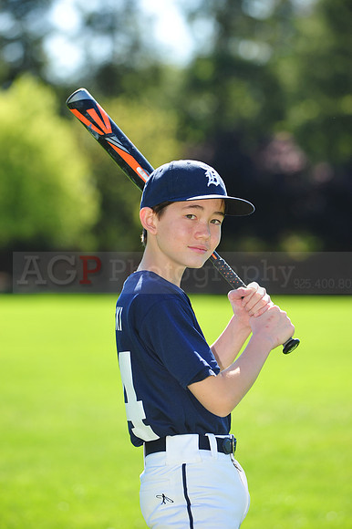 MTigers056