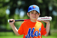 Farm_Mets007