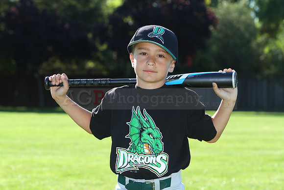 FMDragons027
