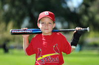 A_Cardinals011