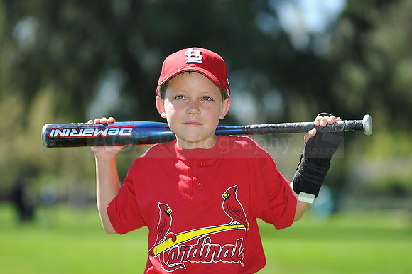 A_Cardinals011