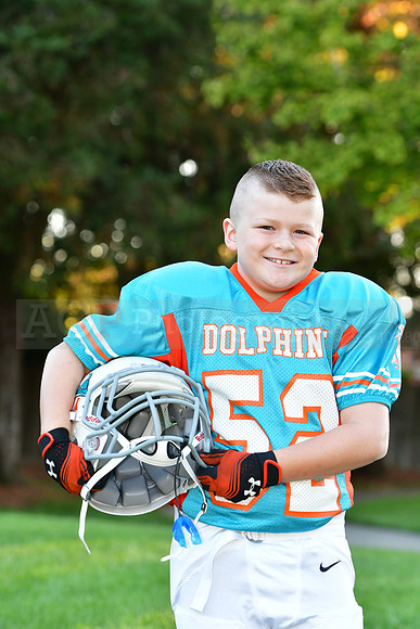 Dolphins028